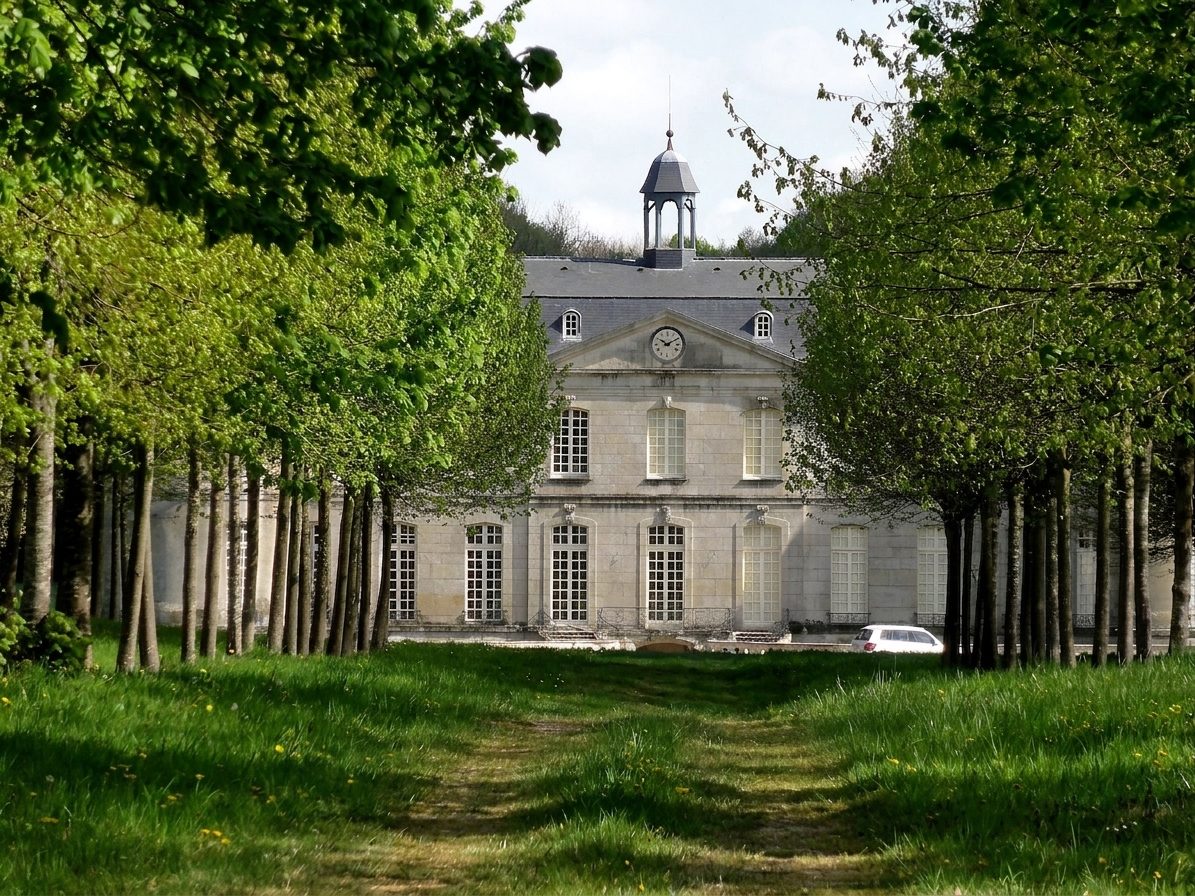 nettoyage façade château — avant nettoyage