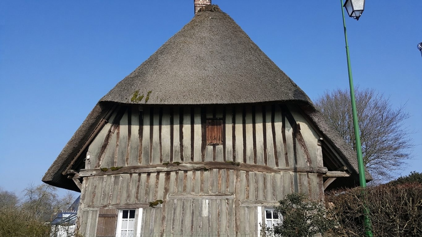 nettoyage façade longère — avant nettoyage